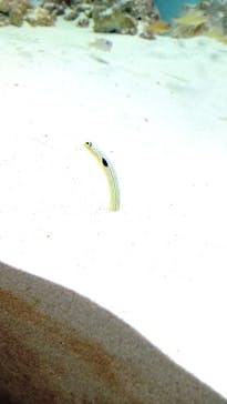 アクアワールド茨城県大洗水族館に投稿された画像（2023/2/12）