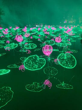 美らヤシパークオキナワ・東南植物楽園に投稿された画像（2023/2/12）