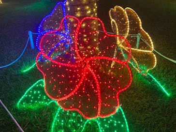 美らヤシパークオキナワ・東南植物楽園に投稿された画像（2023/2/12）