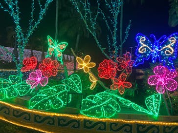 美らヤシパークオキナワ・東南植物楽園に投稿された画像（2023/2/12）