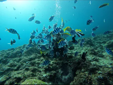 武藤潜水に投稿された画像（2023/2/13）