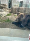 東武動物公園に投稿された画像（2023/2/13）