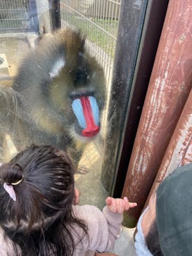 東武動物公園に投稿された画像（2023/2/13）