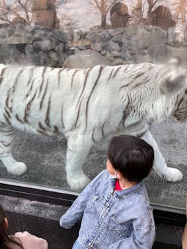 東武動物公園に投稿された画像（2023/2/13）