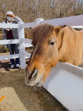 よこはま動物園ズーラシアに投稿された画像（2023/2/13）