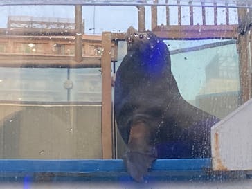 サンシャイン水族館に投稿された画像（2023/2/13）