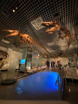 国立科学博物館に投稿された画像（2023/2/13）