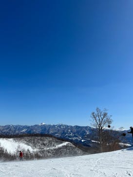 オグナほたかスキー場に投稿された画像（2023/2/13）