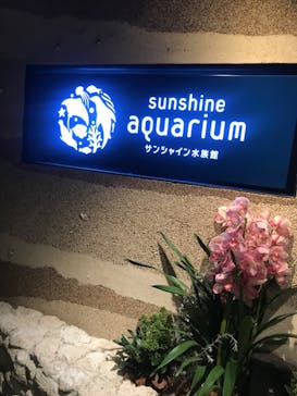 サンシャイン水族館に投稿された画像（2023/2/13）