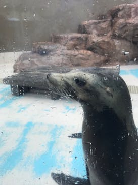 サンシャイン水族館に投稿された画像（2023/2/13）