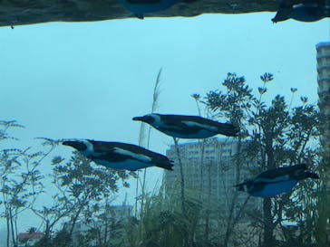 サンシャイン水族館に投稿された画像（2023/2/13）