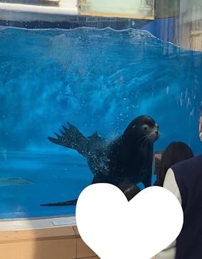 サンシャイン水族館に投稿された画像（2023/2/13）