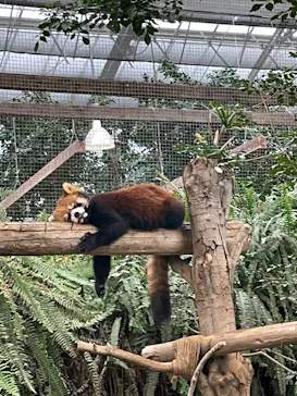 神戸どうぶつ王国に投稿された画像（2023/2/13）