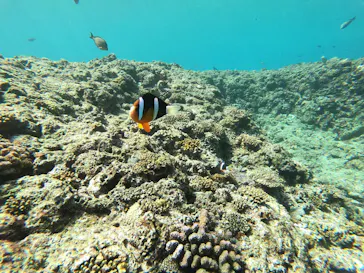 武藤潜水に投稿された画像（2023/2/13）