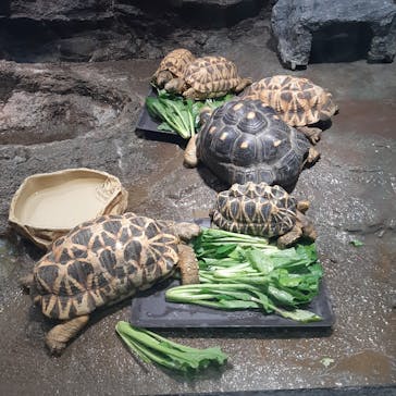 サンシャイン水族館に投稿された画像（2023/2/13）