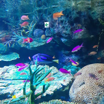 サンシャイン水族館に投稿された画像（2023/2/13）