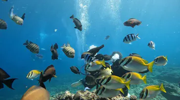 武藤潜水に投稿された画像（2023/2/13）