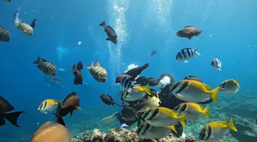 武藤潜水に投稿された画像（2023/2/13）