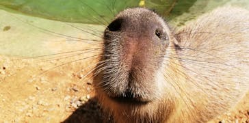 美らヤシパークオキナワ・東南植物楽園に投稿された画像（2023/2/13）