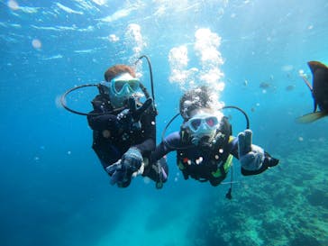 沖縄マリンサービス碧に投稿された画像（2023/2/13）