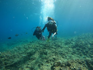 沖縄マリンサービス碧に投稿された画像（2023/2/13）