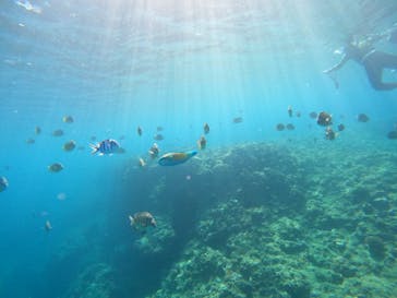 沖縄マリンサービス碧に投稿された画像（2023/2/13）