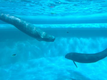 マリンワールド海の中道に投稿された画像（2023/2/13）