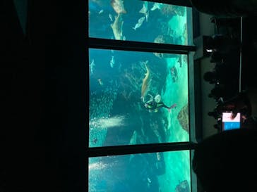 マリンワールド海の中道に投稿された画像（2023/2/13）