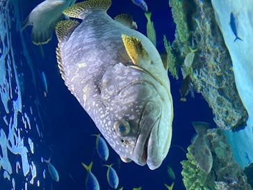 マリンワールド海の中道に投稿された画像（2023/2/13）