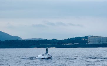 マリンショップ マーメイドに投稿された画像（2023/2/13）