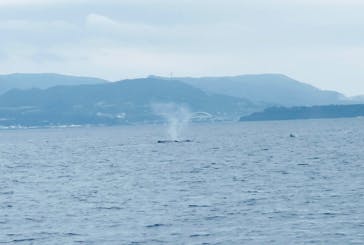 マリンショップ マーメイドに投稿された画像（2023/2/13）