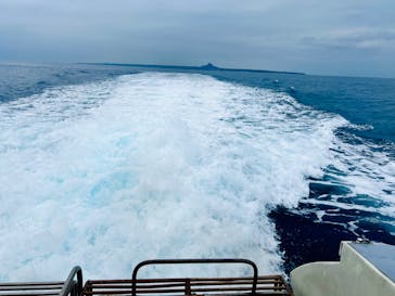 マリンショップ マーメイドに投稿された画像（2023/2/13）