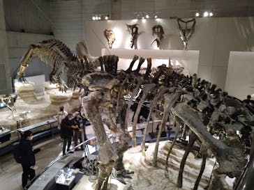 国立科学博物館に投稿された画像（2023/2/13）