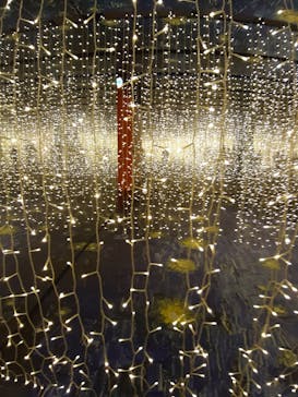 ゴッホ・アライブに投稿された画像（2023/2/13）