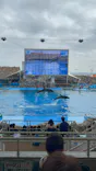 名古屋港水族館に投稿された画像（2023/2/13）