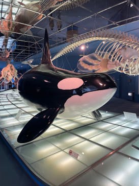 名古屋港水族館に投稿された画像（2023/2/13）