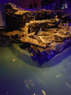 すみだ水族館に投稿された画像（2023/2/13）