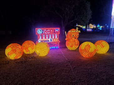 大阪城イルミナージュに投稿された画像（2023/2/13）