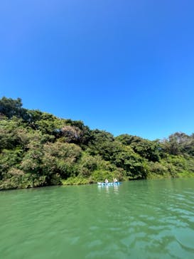 沖縄海うさぎ・海あしびに投稿された画像（2023/2/13）