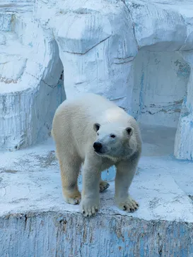 天王寺動物園に投稿された画像（2023/2/13）