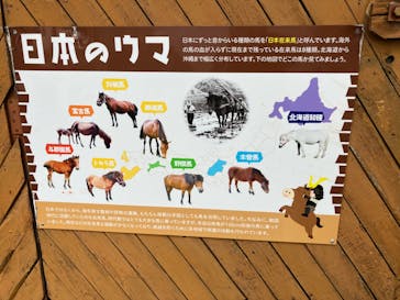 まかいの牧場に投稿された画像（2023/2/13）