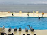 マリンワールド海の中道に投稿された画像（2023/2/13）