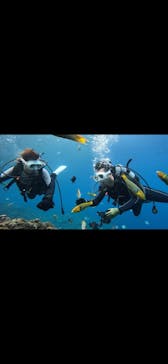 青の洞窟専門店　沖縄ダイビングショップ和に投稿された画像（2023/2/13）