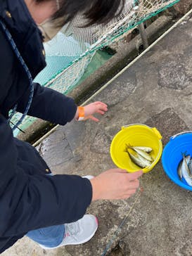 城崎マリンワールドに投稿された画像（2023/2/13）