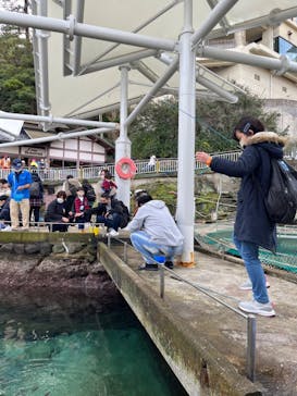 城崎マリンワールドに投稿された画像（2023/2/13）