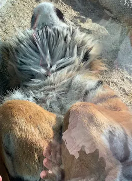 神戸どうぶつ王国に投稿された画像（2023/2/14）