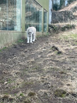 伊豆アニマルキングダムに投稿された画像（2023/2/14）