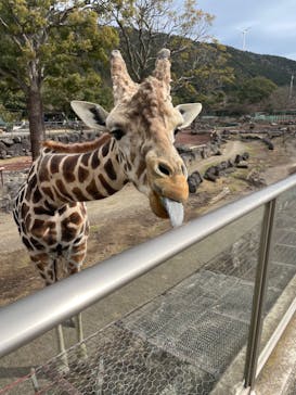 伊豆アニマルキングダムに投稿された画像（2023/2/14）