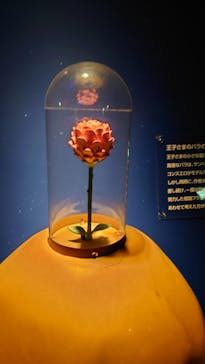 星の王子さまミュージアム 箱根サン=テグジュペリに投稿された画像（2023/2/14）