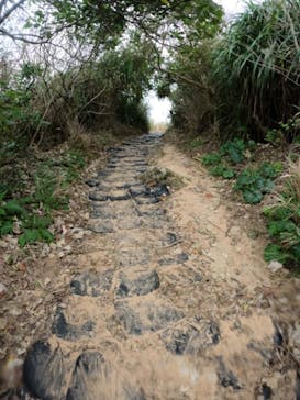 沖縄マリンサービス碧に投稿された画像（2023/2/14）